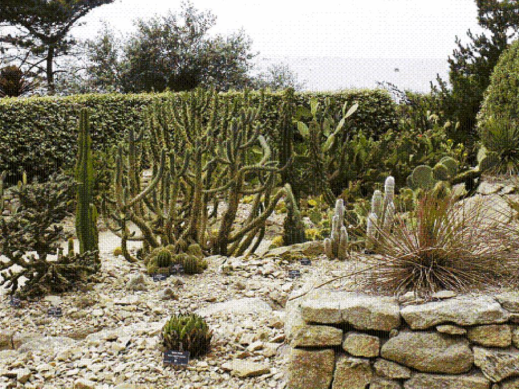130 Ile de Batz Jardin Georges Delaselle_000041.jpg